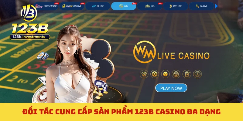 Đối tác cung cấp sản phẩm 123B casino đa dạng